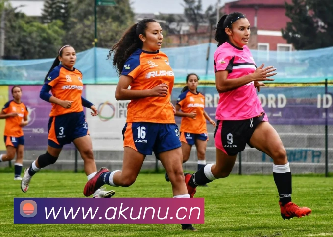 星空体育首页官网服务体系